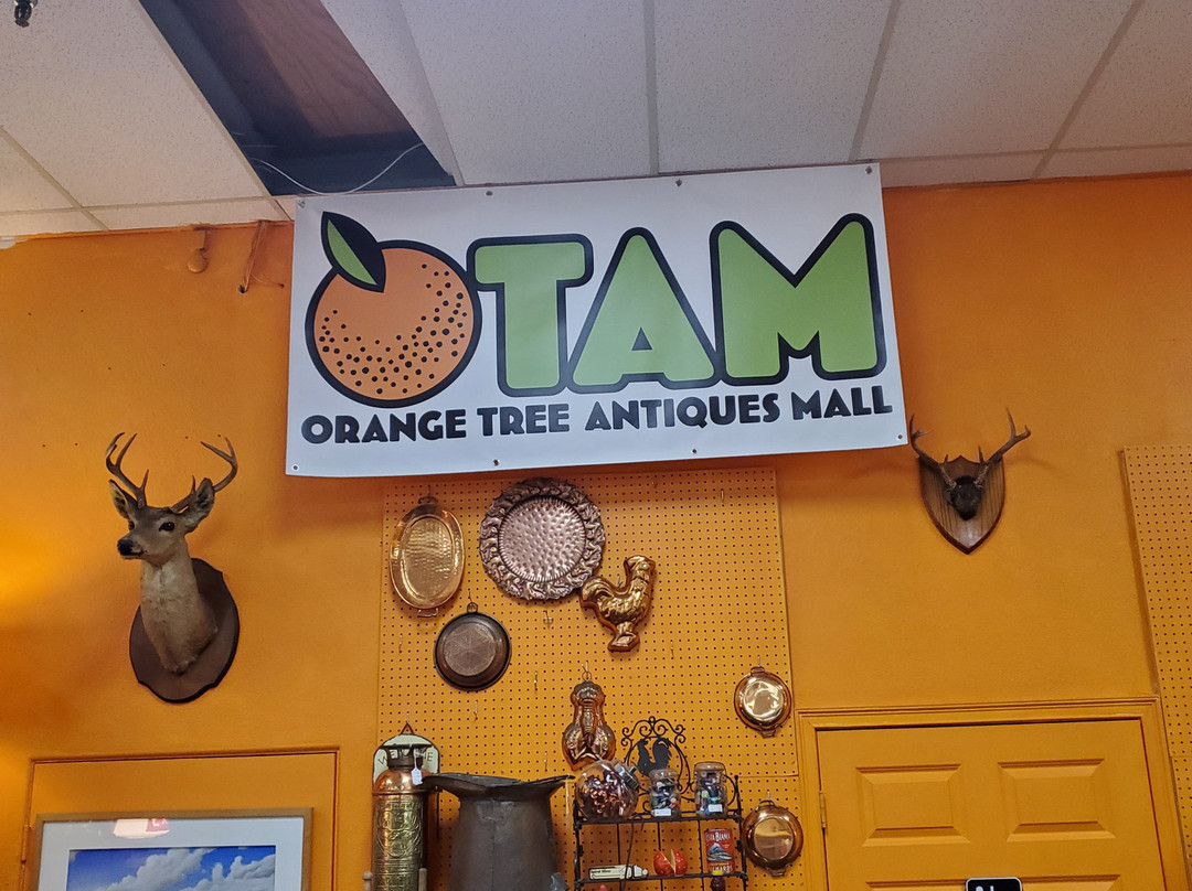Orange Tree Antiques Mall-温特帕克必去景点
