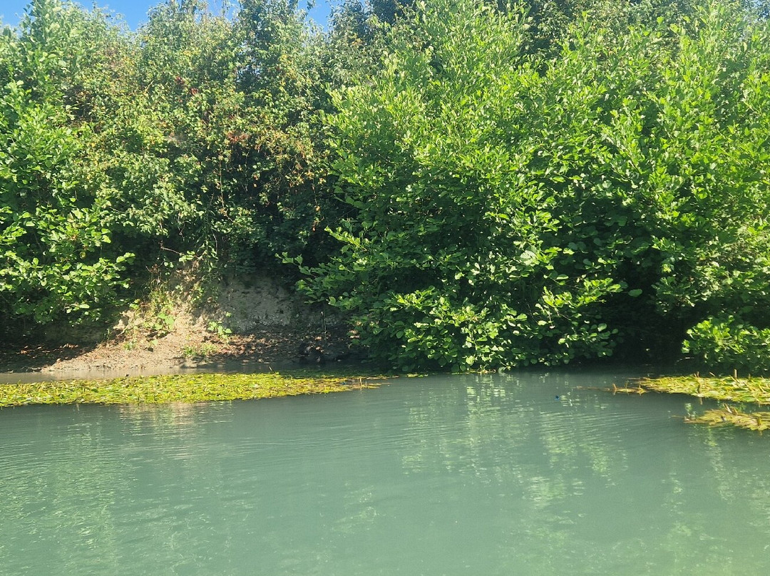 Dragonfly Kayak: The Acheron Experience-Ammoudia必去景点