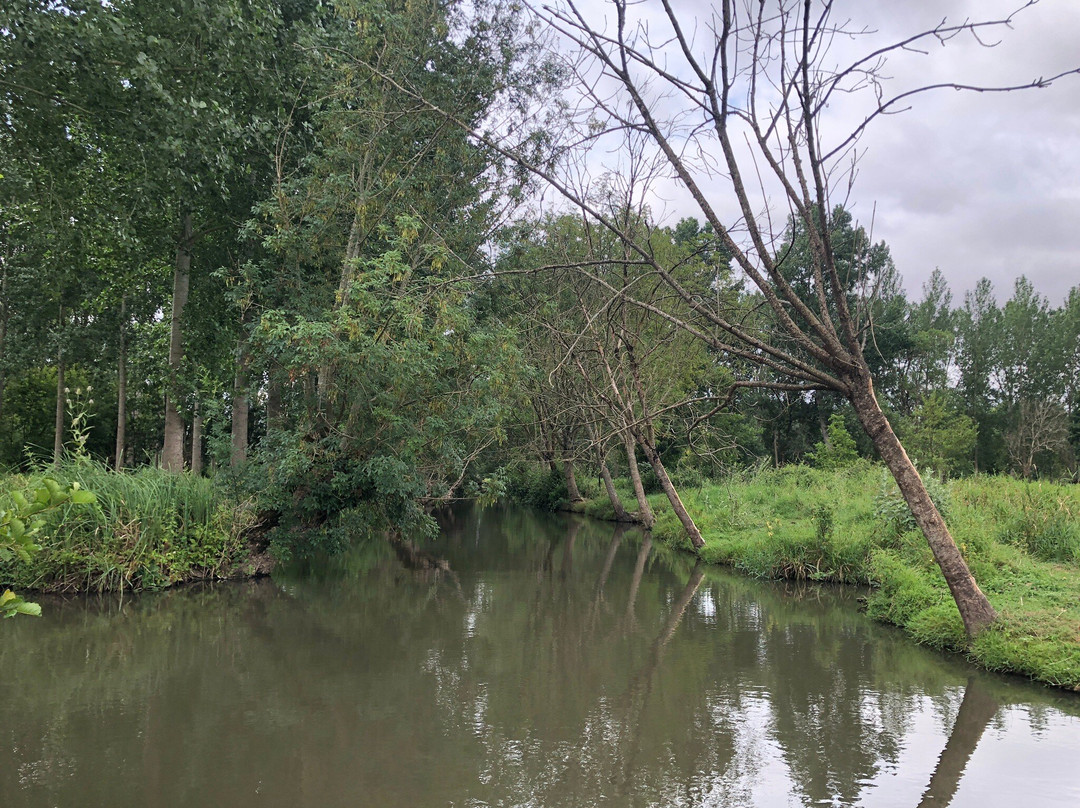 Embarcadere la Trigale-Coulon必去景点