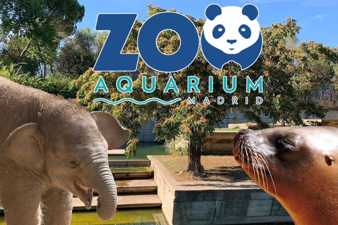 Kolmården Zoo-Kolmarden必去景点