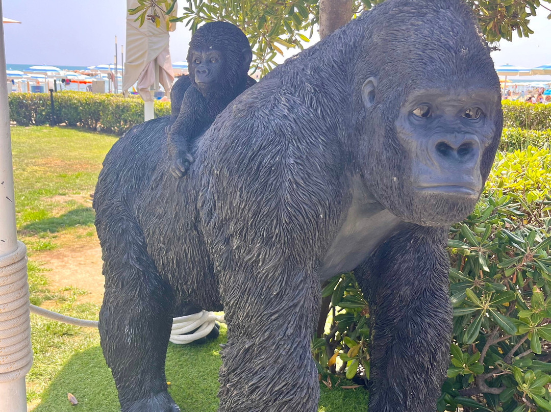 Alba Beach-阿尔巴阿德里亚蒂卡必去景点