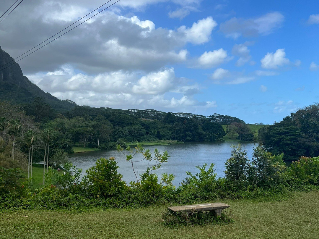火玛卢霞植物园-卡内奥赫必去景点