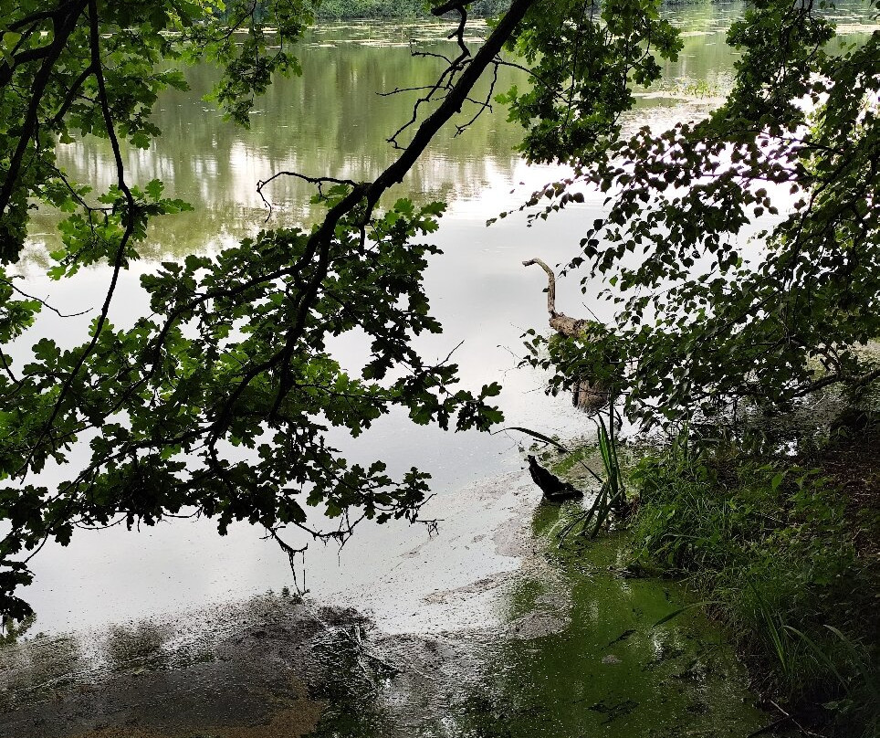 Hotel Diekgerdes主图