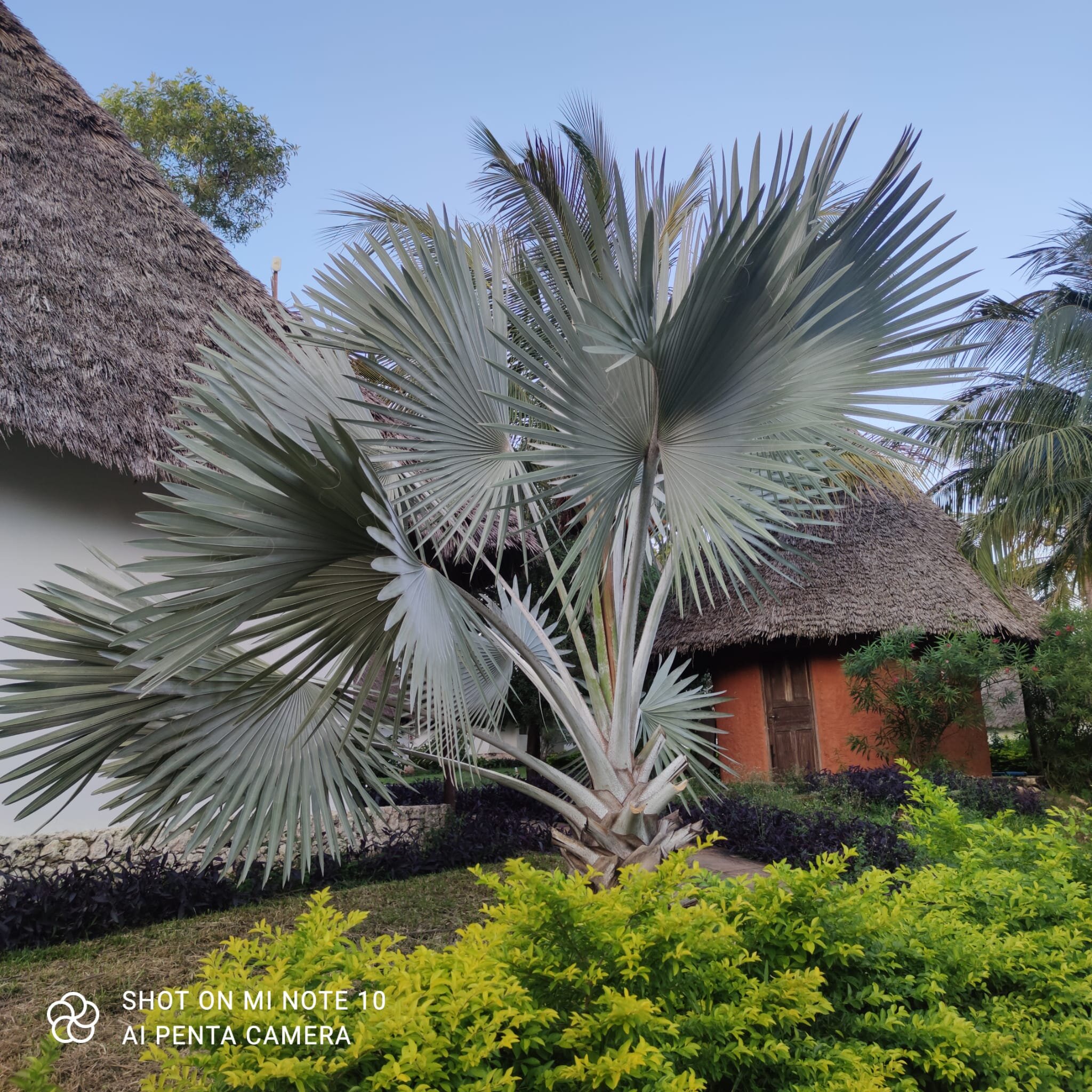 Karafuu Beach Resort And Spa-浴室