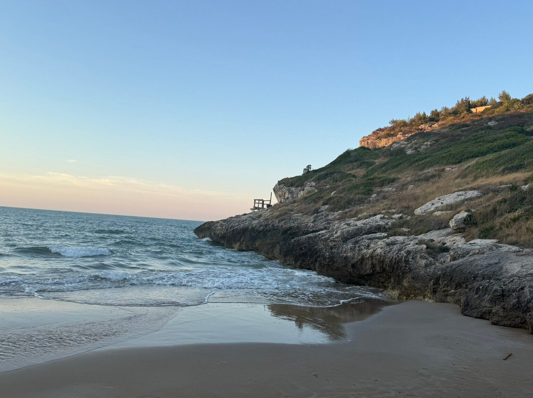 Spiaggia Di Procinisco - Peschici-佩斯基奇必去景点