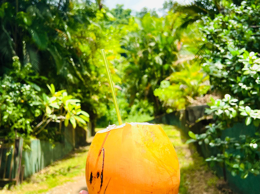 Elegance Lanka Tours-科伦坡必去景点