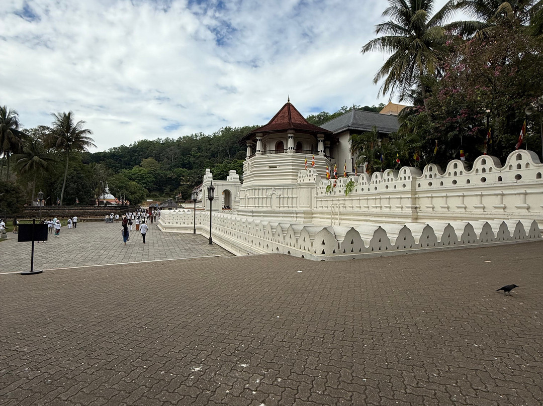 Vira Ceylon Tours & Travels-米迪加玛必去景点