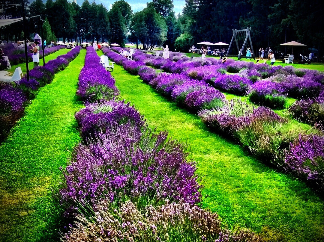 La Maison Lavande-Saint-Eustache必去景点