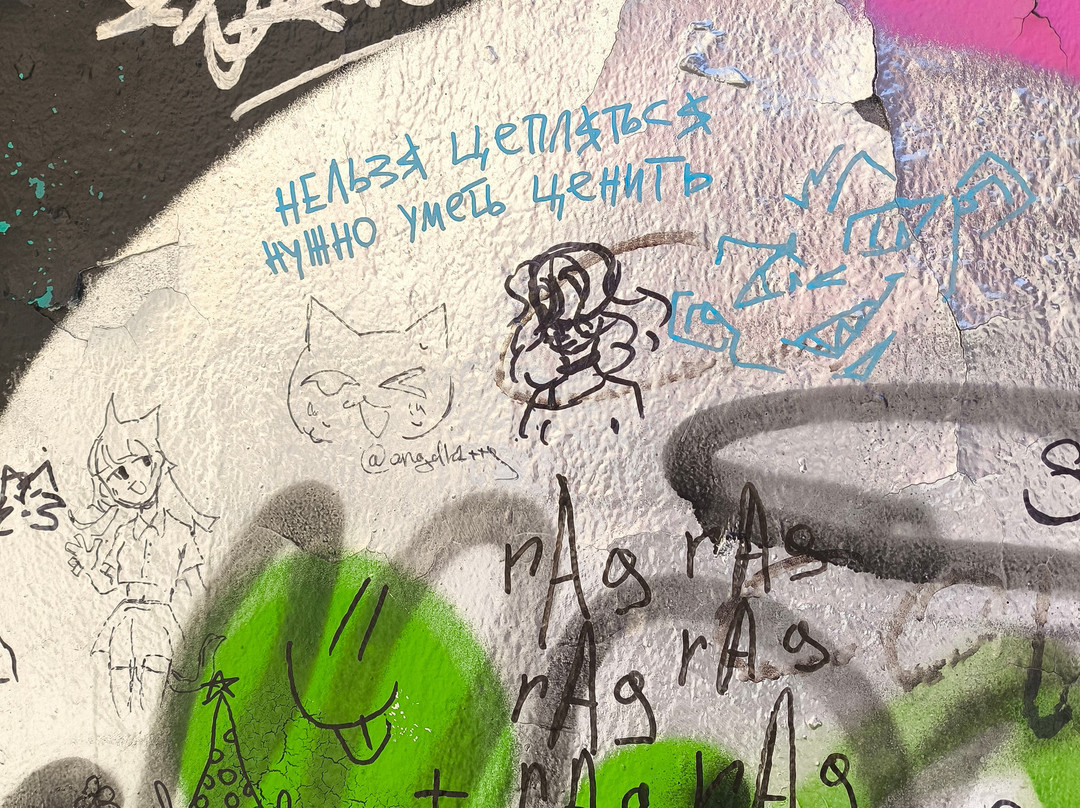 St. Petersburg Walks With Dmitry Kaplun-圣彼得堡必去景点