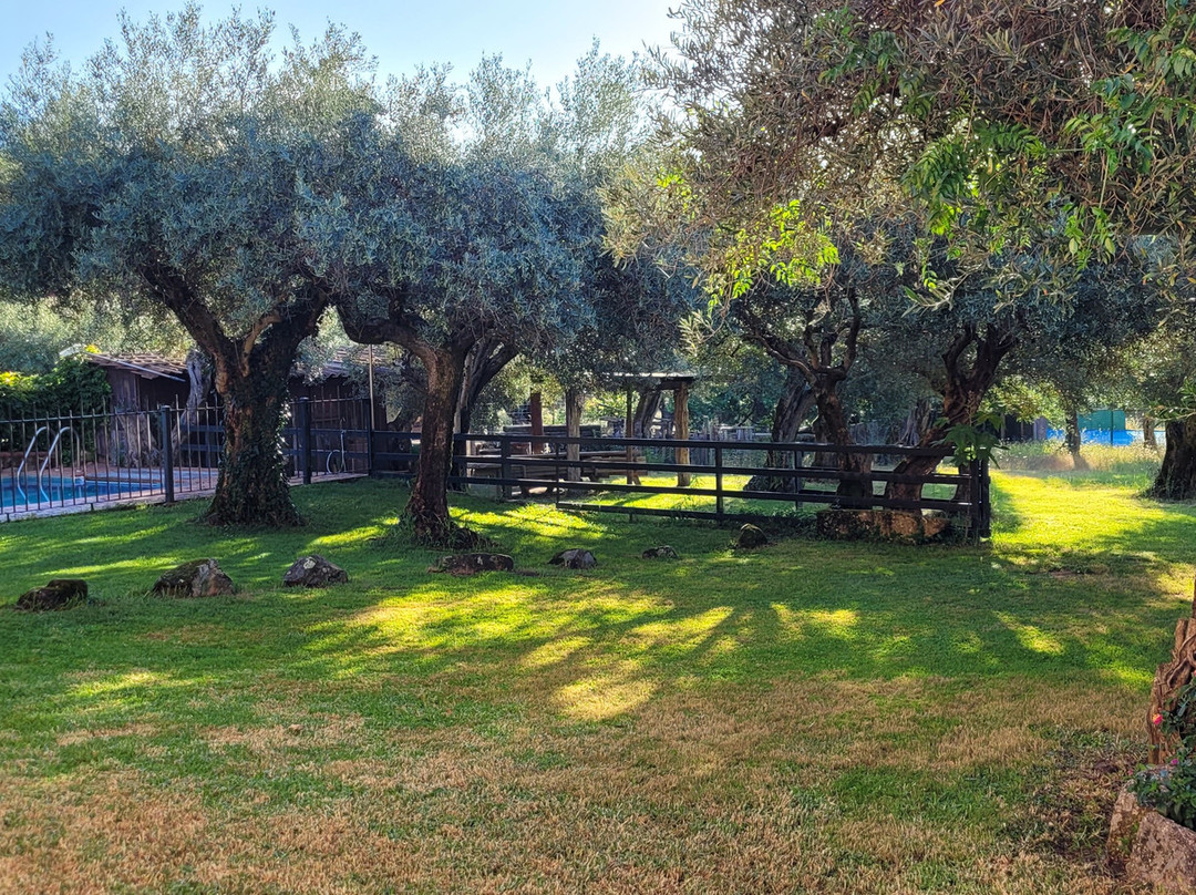 Casa Rural La Covacha主图