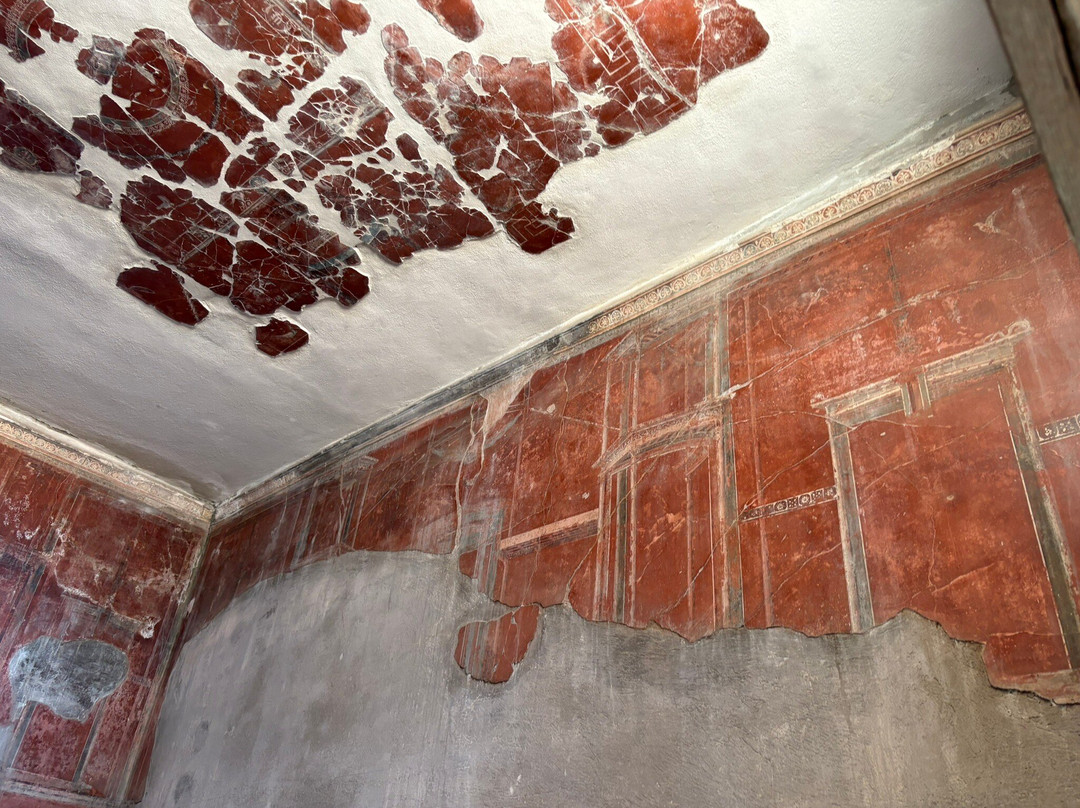 Archeological Park of Herculaneum-埃尔科拉诺必去景点