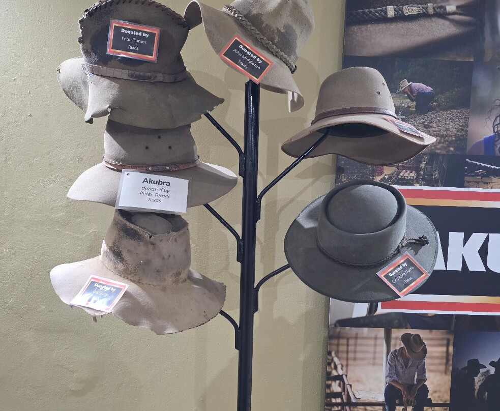 Texas Rabbit Factory-Texas必去景点