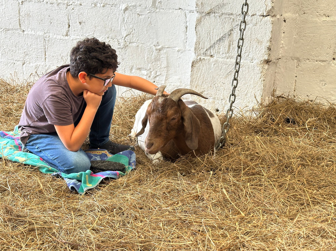 Cronkshaw Fold Farm-Rossendale必去景点