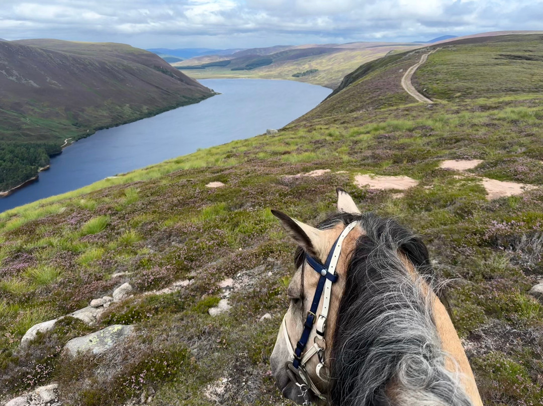Highlands Unbridled Trail Riding & Trekking Centre-Aboyne必去景点