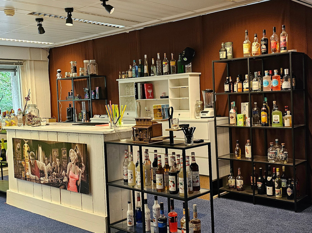 Elixer Room-海牙必去景点