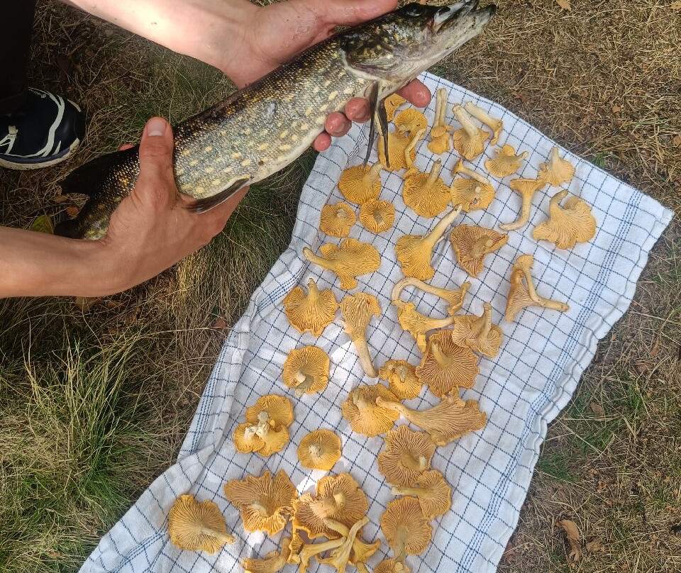 Agundaborg Camp & Paddle-Agunnaryd必去景点