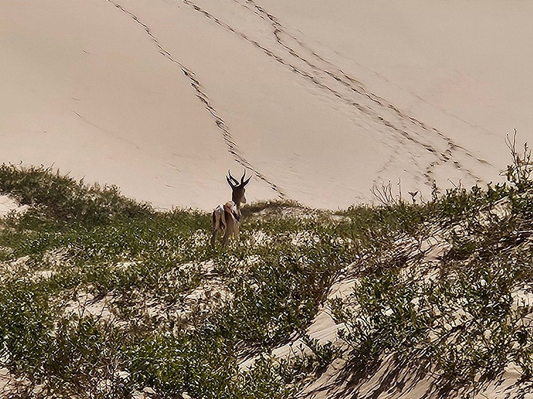 Turnstone Tours-斯瓦科普蒙德必去景点