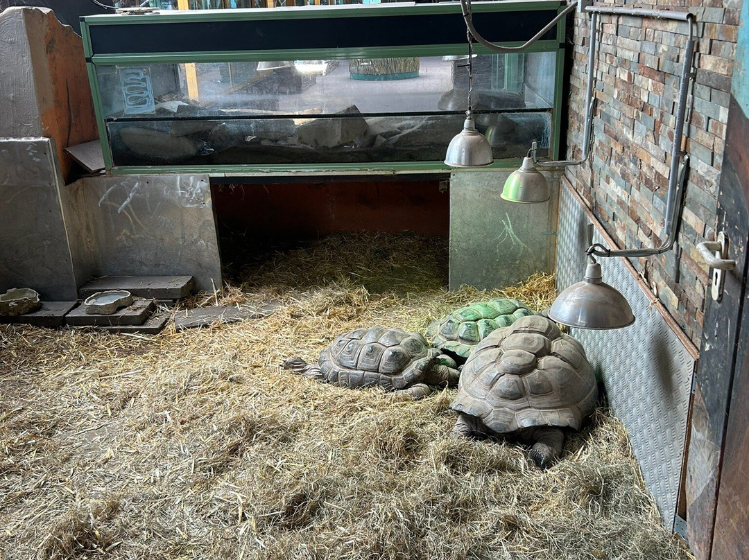 Terrazoo Rheinberg-Rheinberg必去景点