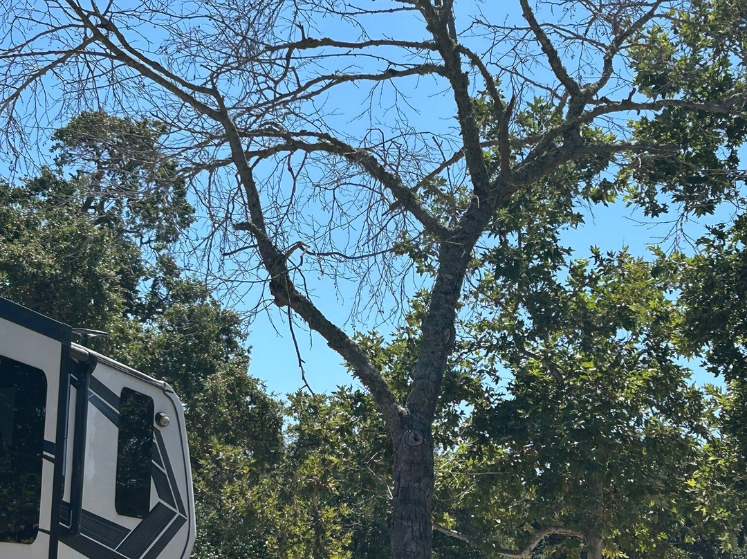 Skyline Wilderness Park-纳帕必去景点