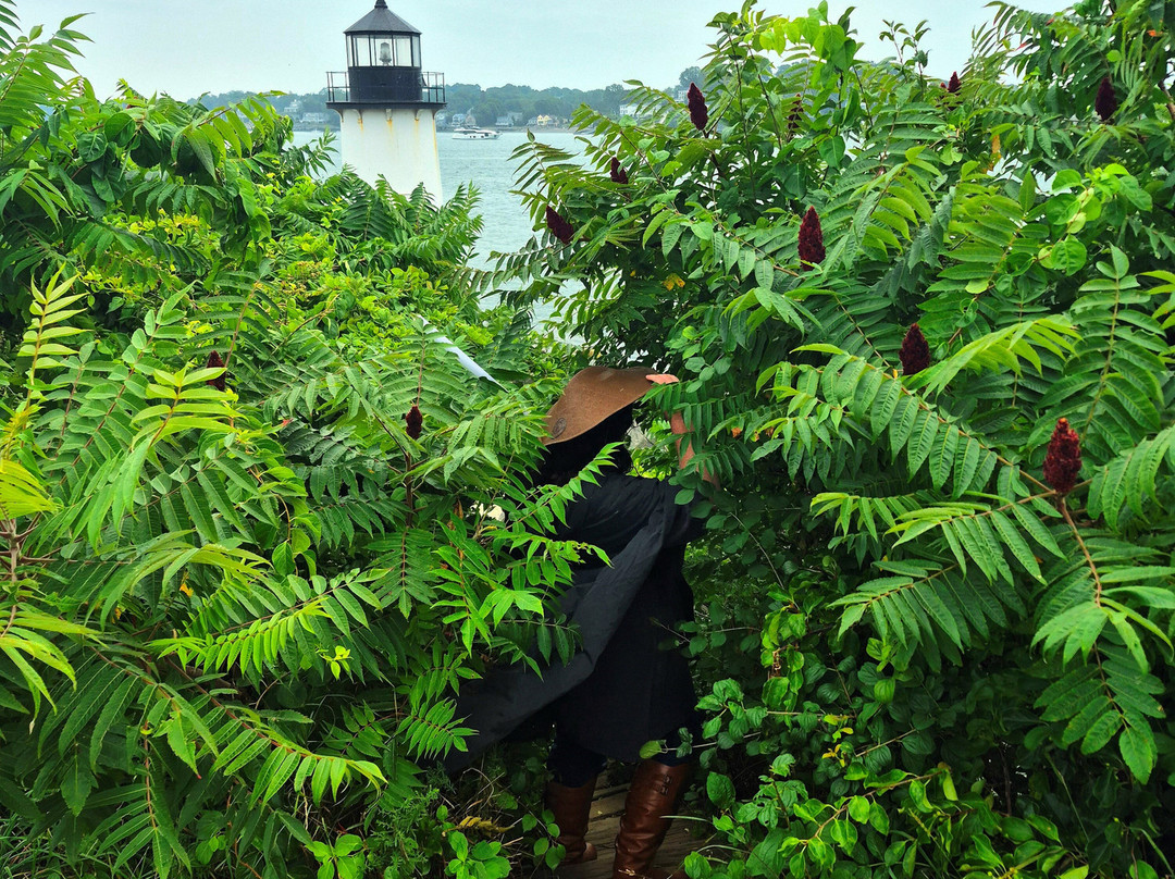 Winter Island Park-塞勒姆必去景点