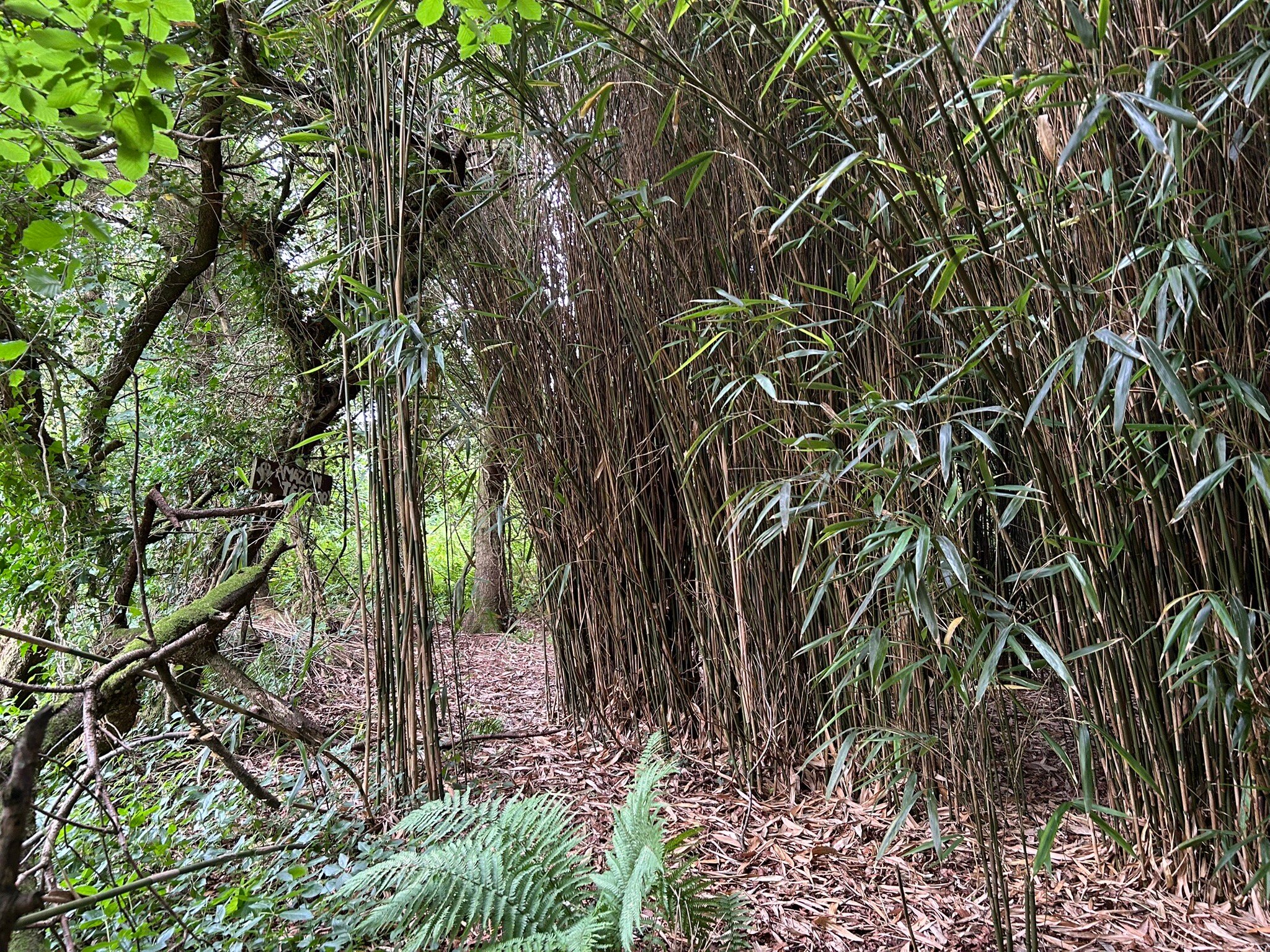 Cavens Country House (dinner Included)-官方