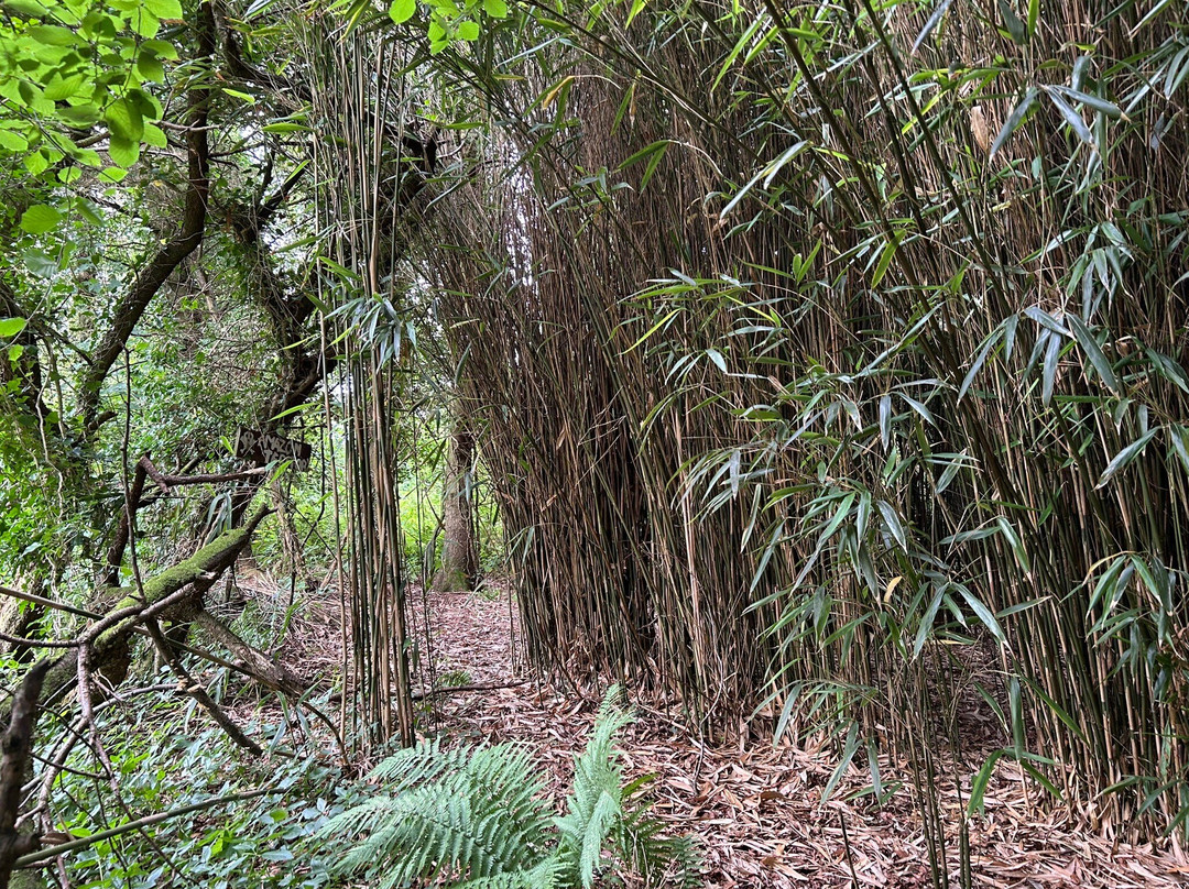 Cavens Country House (dinner Included)主图