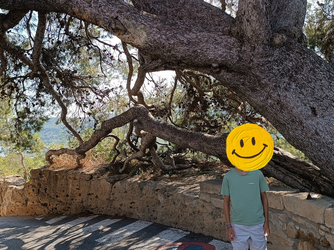 Miramas-le-Vieux-Miramas必去景点