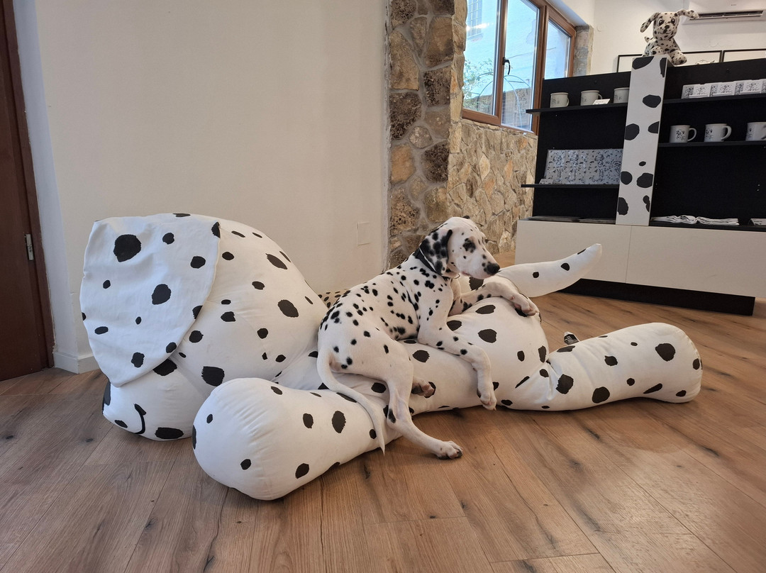 Home Of The Dalmatian Dog-希贝尼克必去景点