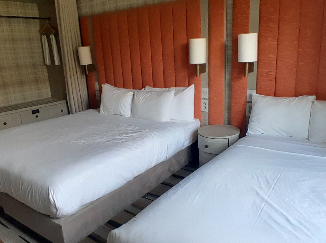 Polat Palandöken主图