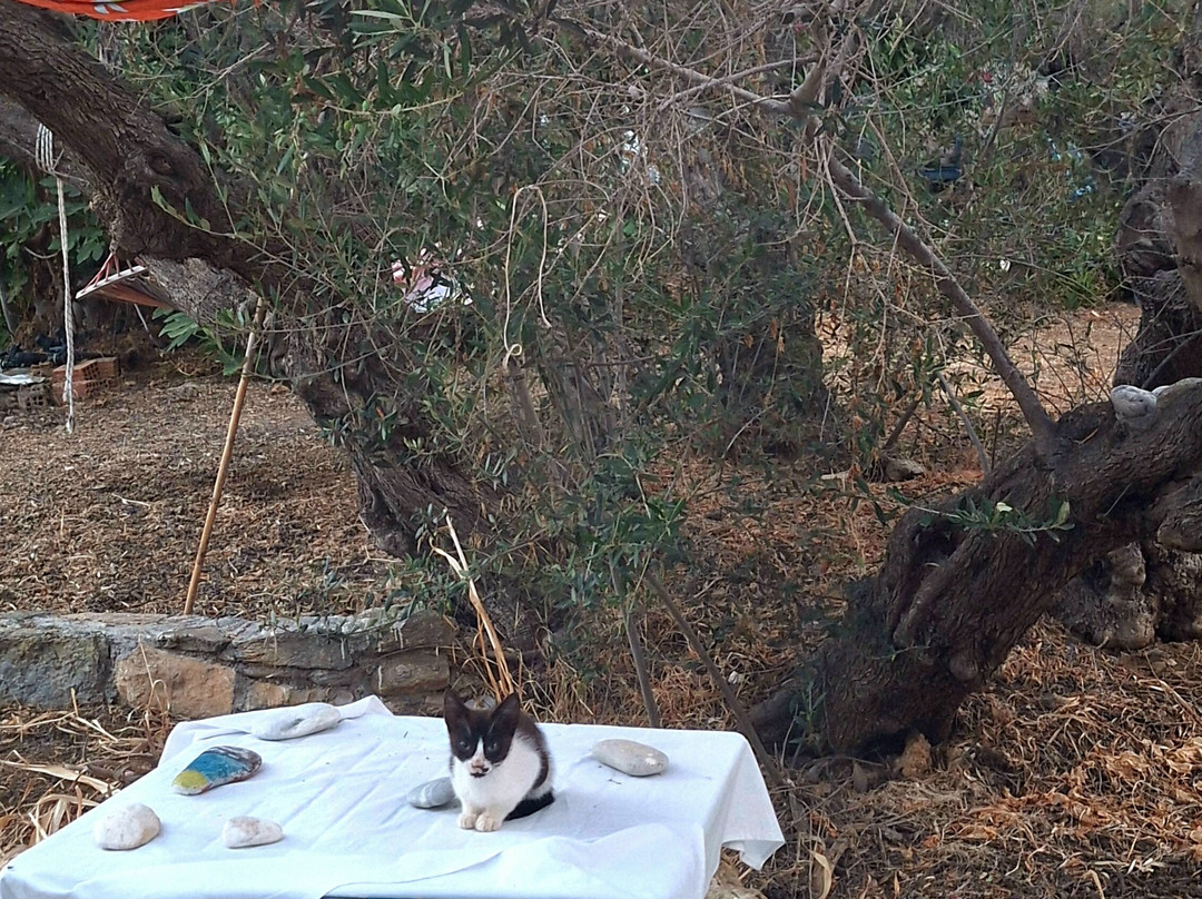 Artemis Pension主图