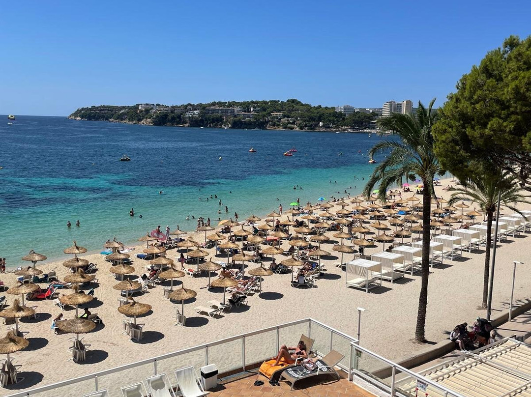 Flamboyan Caribe主图