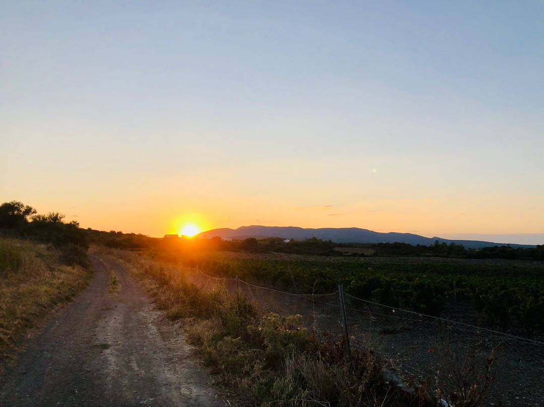 Quadiloc-Fitou必去景点