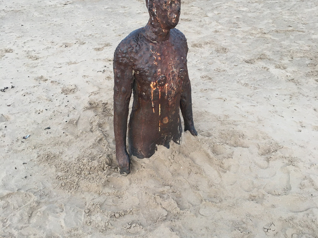 Crosby Beach-克罗斯比必去景点