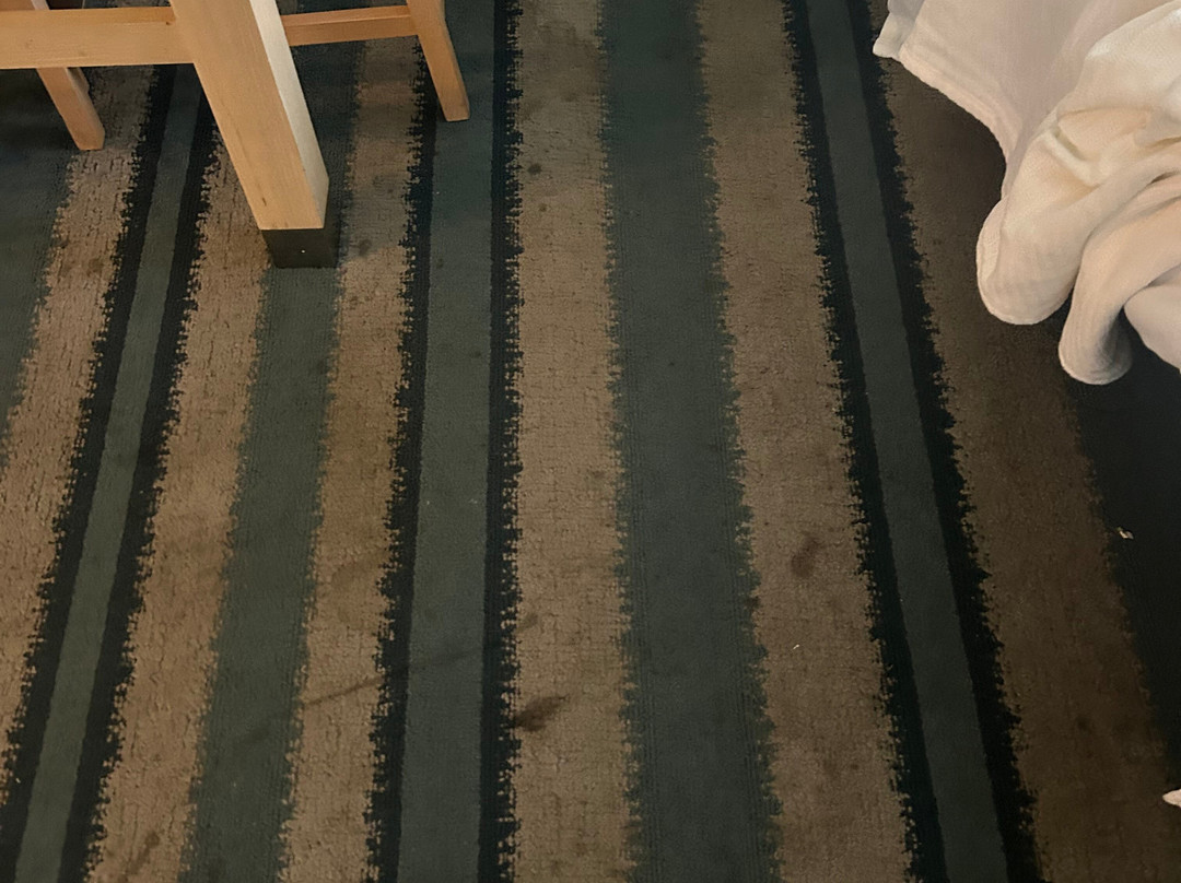 Sonesta ES Suites Chicago - Schaumburg主图