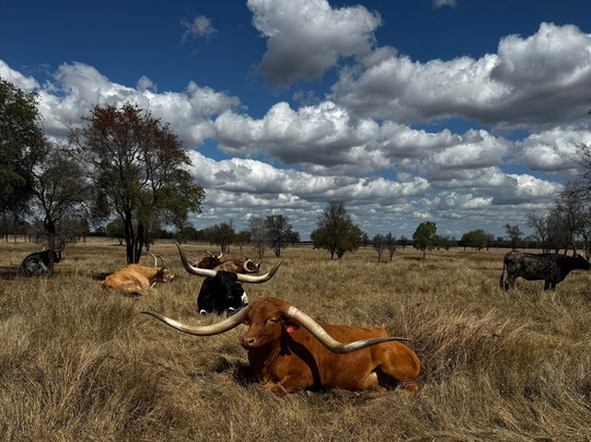 Leahton Park-查特斯堡必去景点