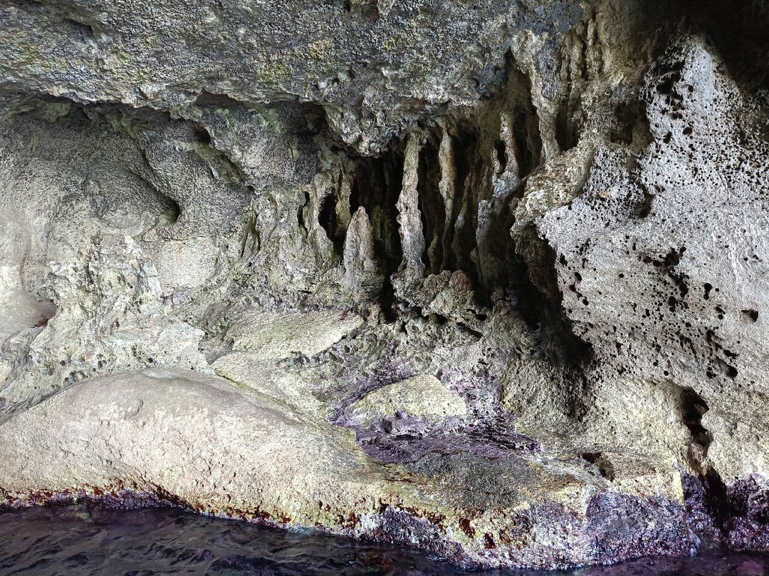 Marettimo "I Freschi" - Escursioni in Barca-Marettimo必去景点