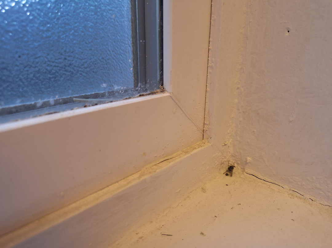 Lakeview Lodge Motel主图