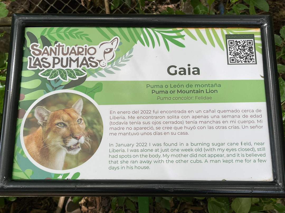 Centro de Rescate Las Pumas-Canas必去景点