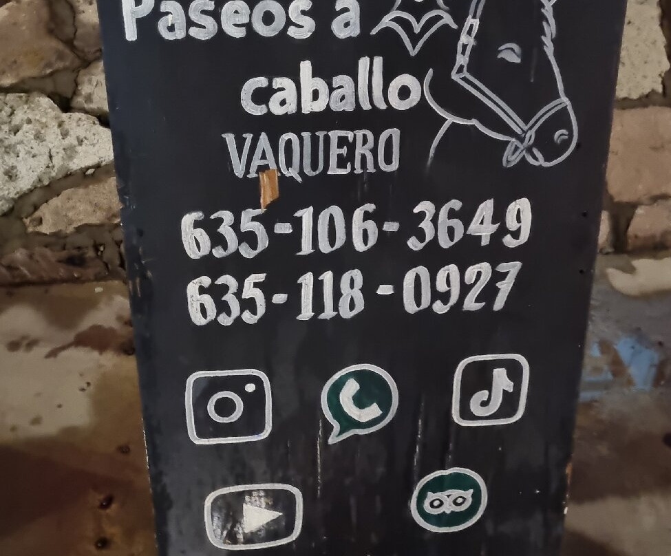 Creel Paseos A Caballo Vaquero-Creel必去景点