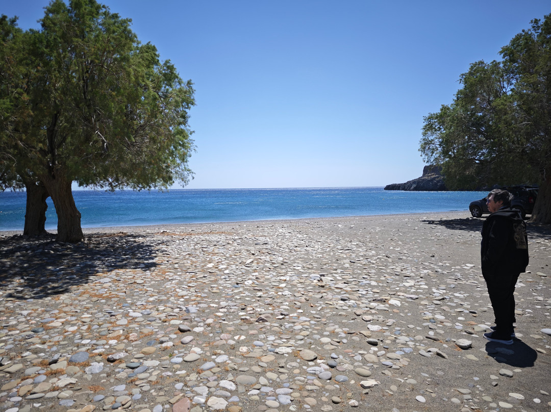 MoozArt - Wood Art Workshop-马塔拉必去景点