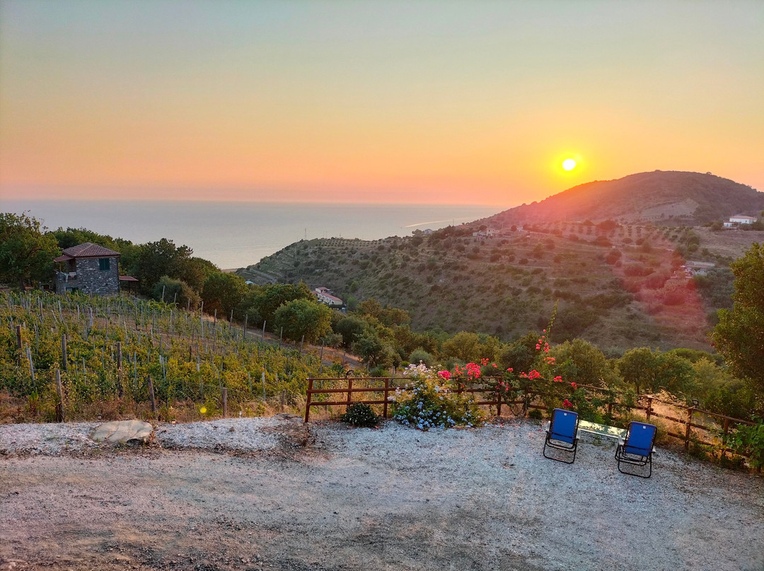 Agriturismo Le Terre di Venere