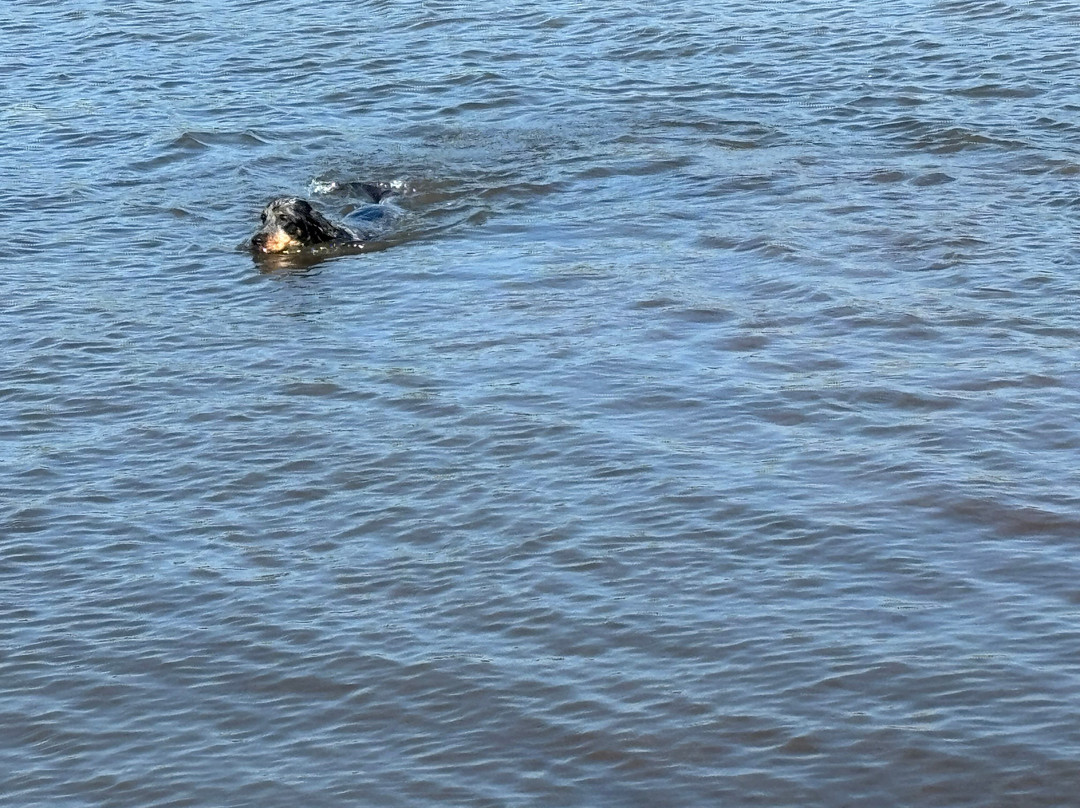 Hollingworth Lake-洛奇代尔必去景点