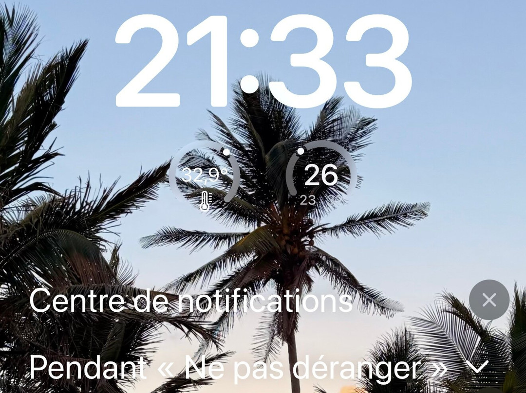 Il Cortile Fiorito srl主图