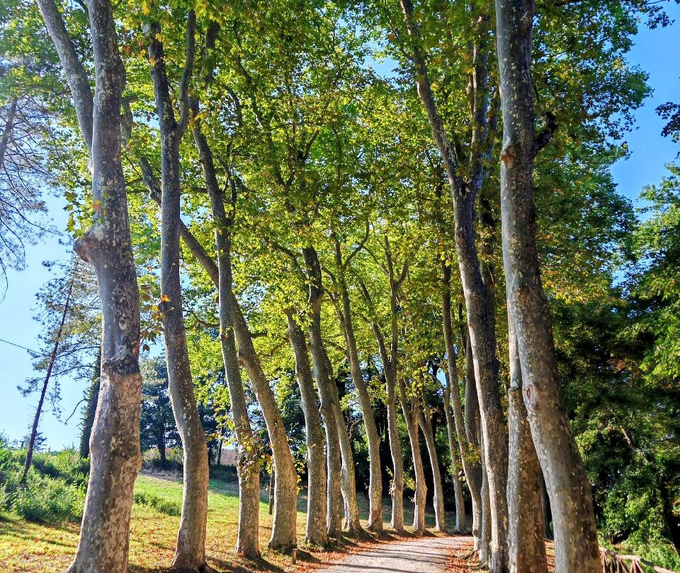 Parco Mediceo di Pratolino (Villa Demidoff)-Vaglia必去景点