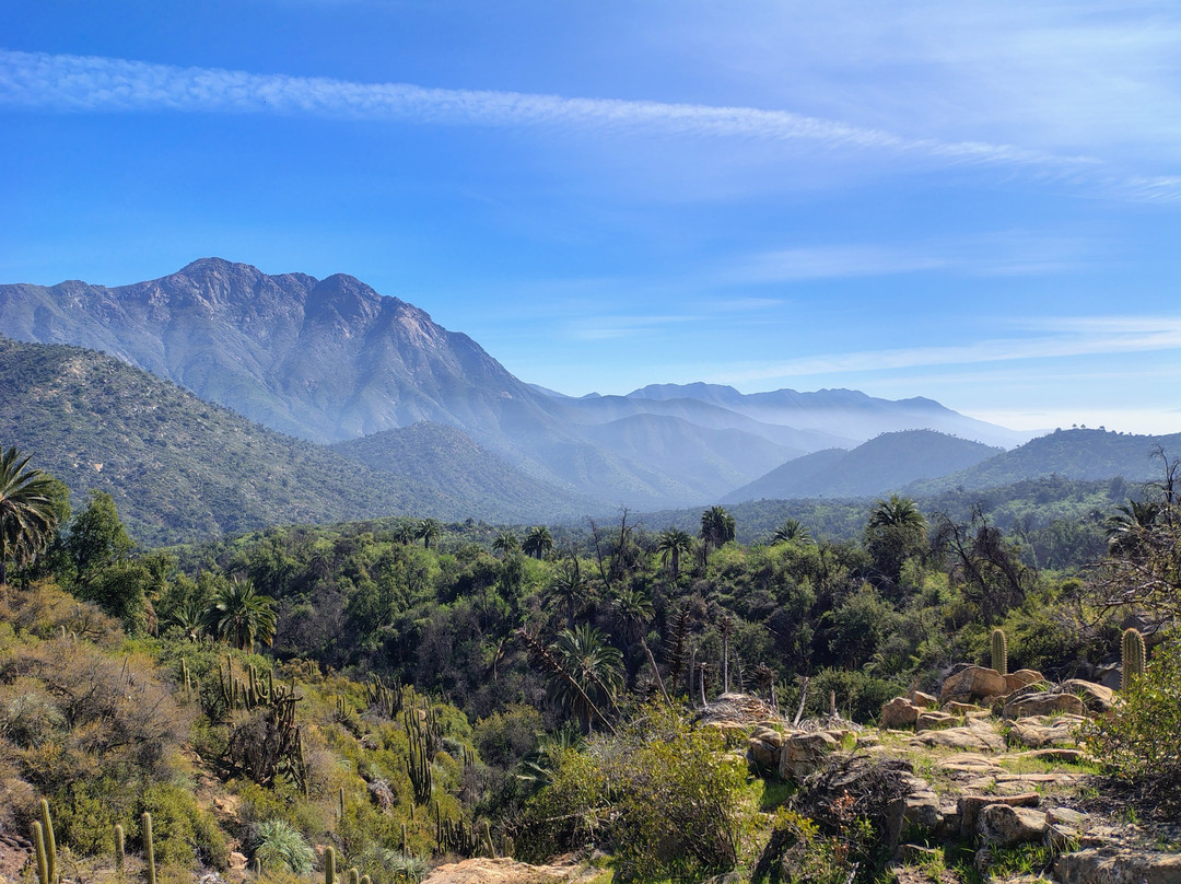 Parque Nacional La Campana-Olmue必去景点