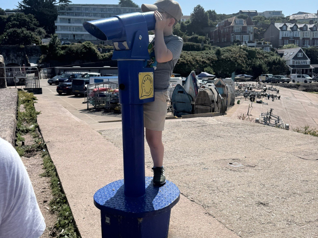 Brixham Harbour-布里克瑟姆必去景点