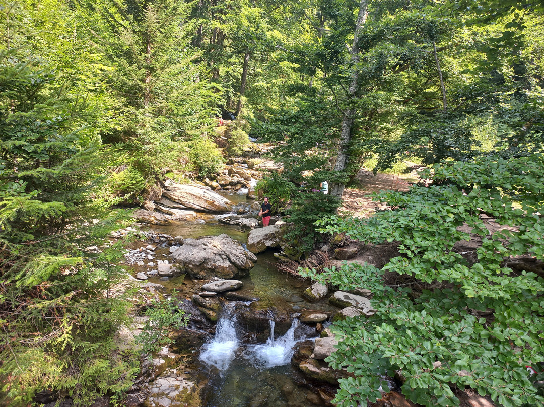 Cascade D'ardent-Montriond必去景点