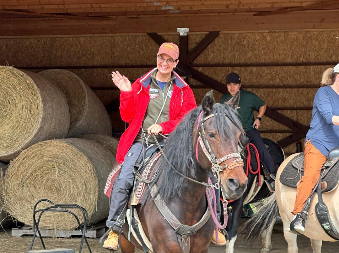 Denali Horseback Tours-德纳利国家公园和自然保护区必去景点