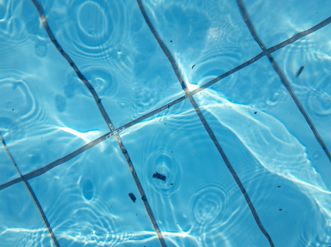 Piscina Conca Del Sole-Vidiciatico必去景点