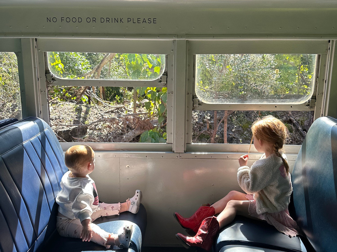 Byron Bay Train-拜伦湾必去景点
